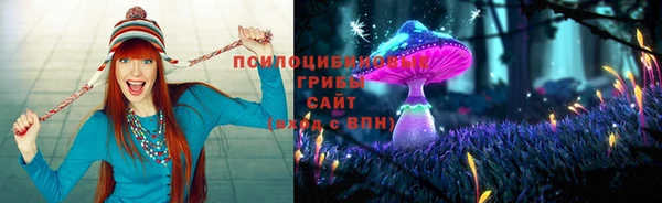 бошки Абинск