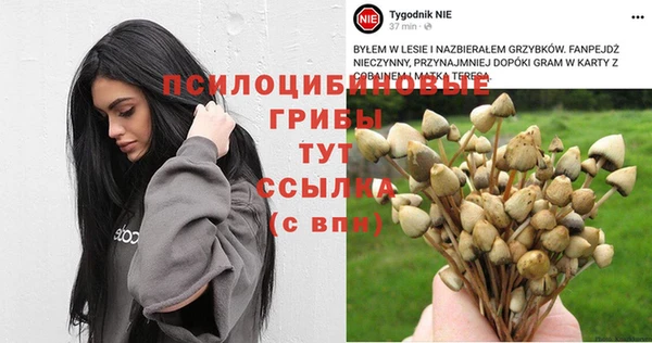 индика Абдулино