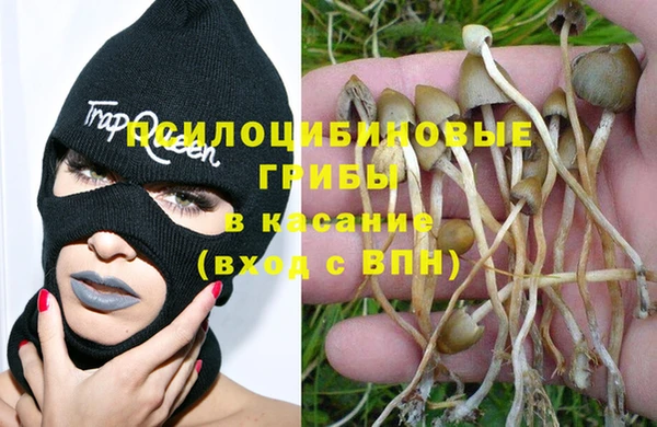 индика Абдулино