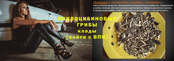 индика Абдулино