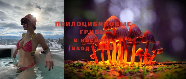 бошки Абинск